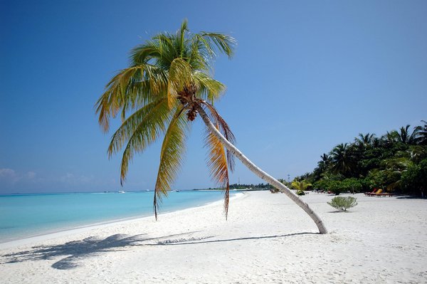 Idées d'activités aquatiques pour enfants dans un camping avec piscine