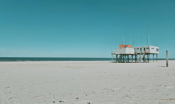 Voyage au cœur de Londres sans dépenser un penny