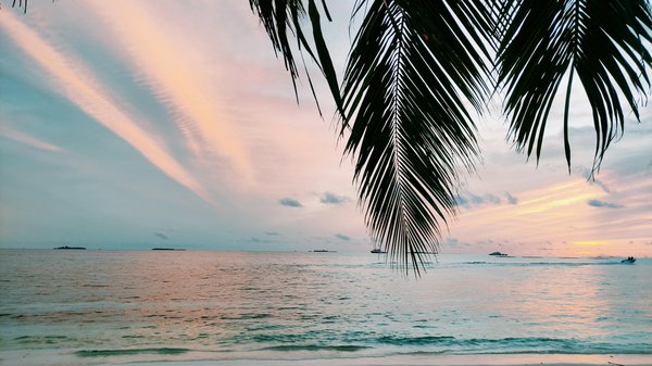 Découvertes culturelles : Les tendances touristiques de l'année à ne pas manquer